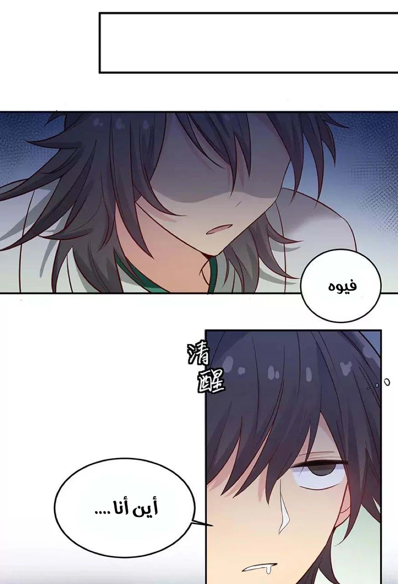Chapter Image 13